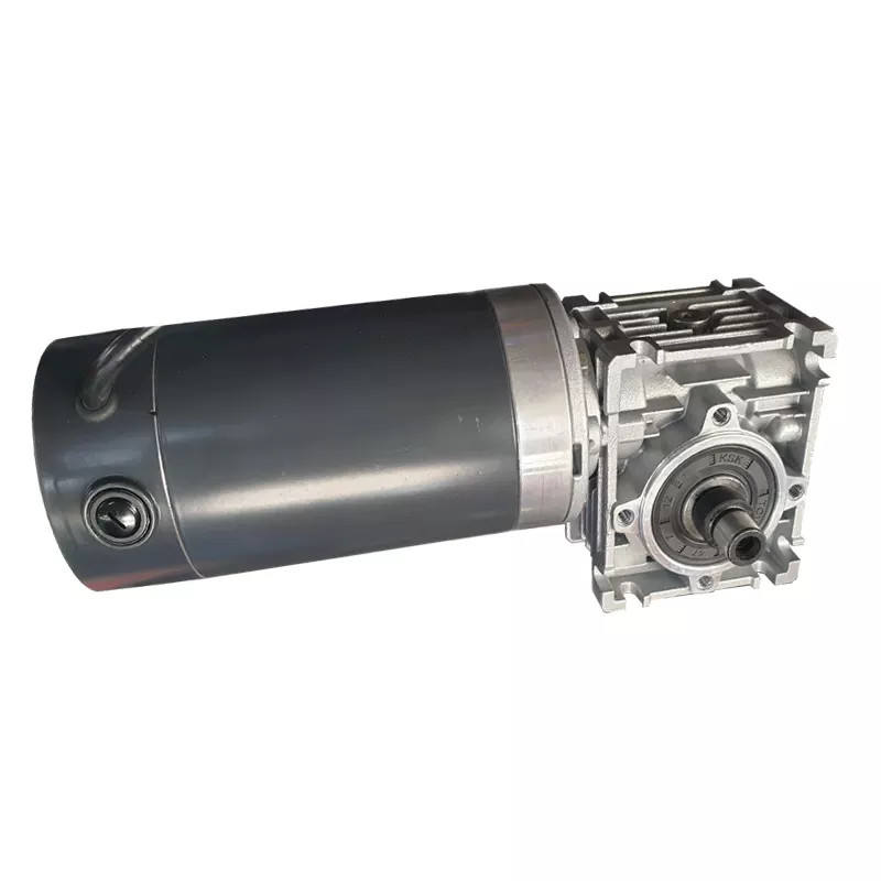 Professional 24v Electric Worm Reduction Dc Gear Motor with Low Price