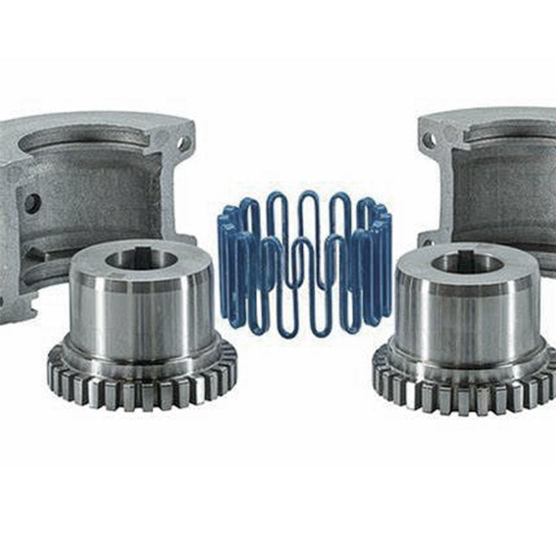 Customizable Short Shaft Hole Snake Spring Coupling OEM Supportable Flexible Shaft Couplings
