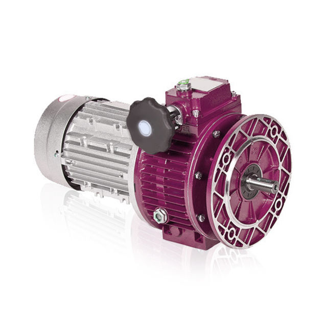 Unique Design Hot Sale UDL 0.37 Motor Speed Variator 1Hp 2Hp Variable Speed Motor