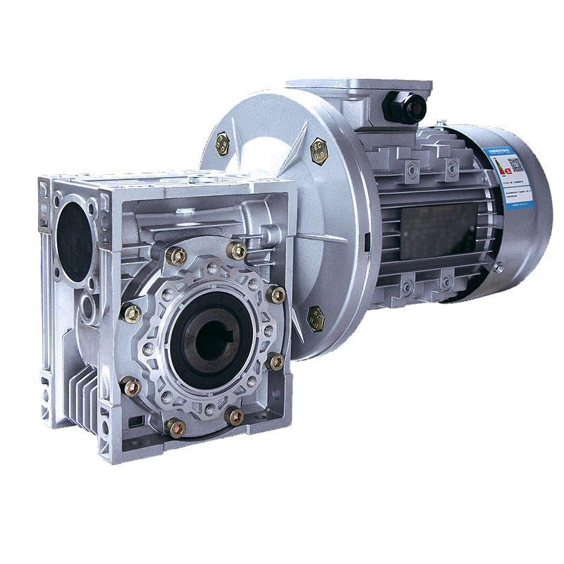 Rv Series Worm Gear & Worm Wheel and Worm Gearbox and Motor Reducer Replace of Nmrv
