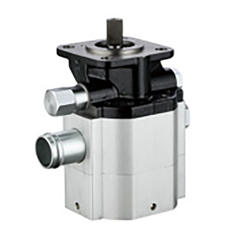 Highest Rotational Speed 3600r/min Agricultural Right Clockwise Hydraulic Pumps 2.5/20/21 Mpa Log Splitter Pump Sale