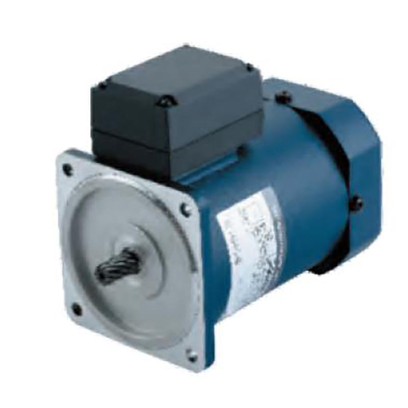 60W Signle-Phase High Efficiency Metal Gear Motor Gear Shaft Micro Reduction Motor with Rectangular Solid Shaft Reducer