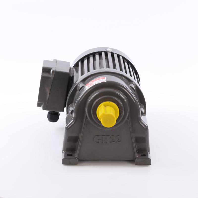 Special Type YEJ2 Series Electromagnetic Brake Motors with Hand Release with Double Side Output Shaft