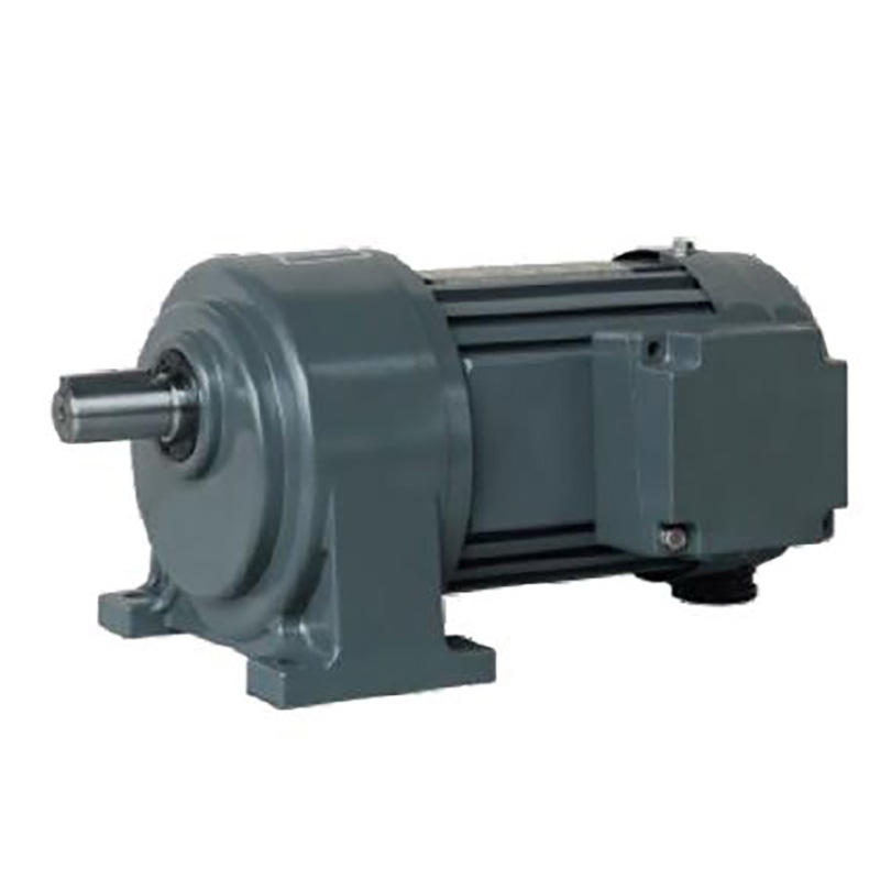 IP55~IP65 Vertical/Horizontal Type AC Electrical Motor 3-Phase Brake Motor With Aluminum/Steel Plate
