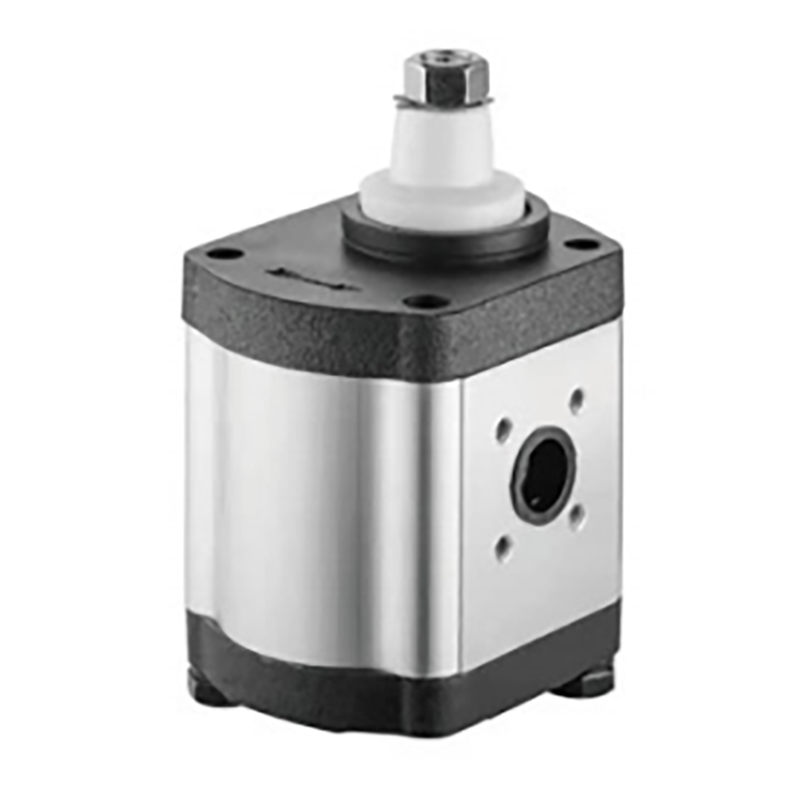 Agricultural Parts Left Hydraulic Pump Replacement of Deutz 0510615333 Type Tractor Gear Hydraulic Pump for Sale