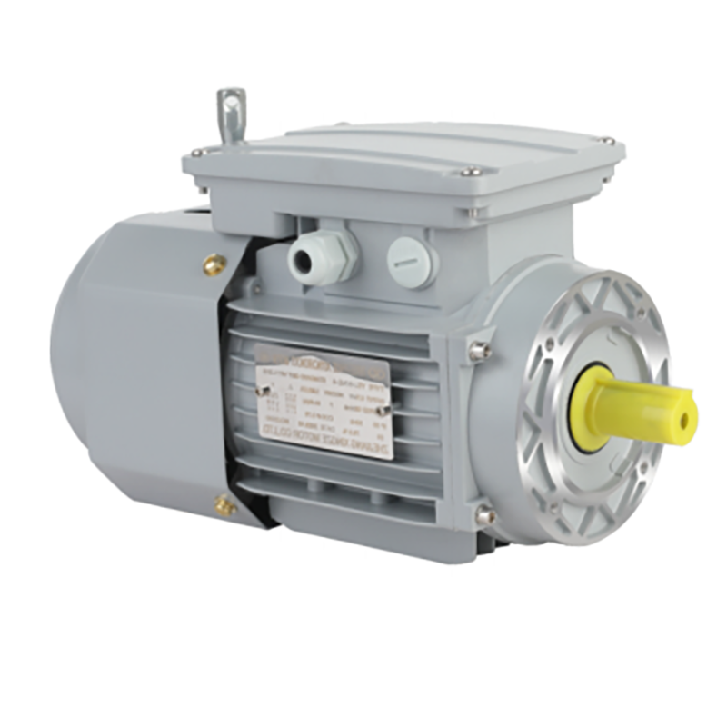 YEJ Series Vertical High Reliability Strong Versatility Three-phase Asynchronous Brake Motor