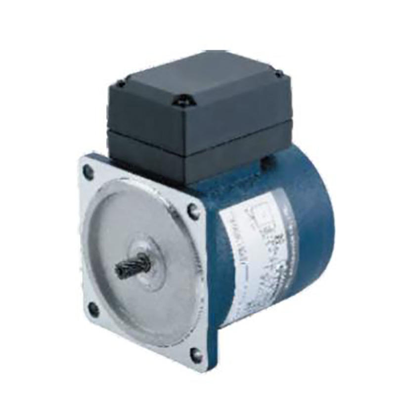 Three Phase Small Speed Reduction Motor Milling Key Shaft Micro Gear Reduction Motor