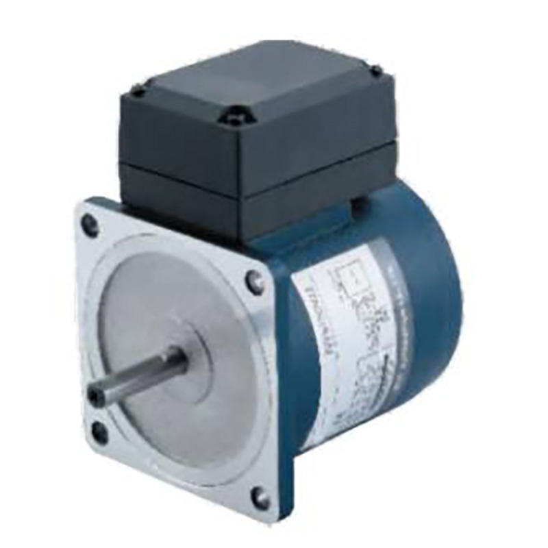 40W Gear Shaft Custom Micro Motor AC Electric Motor 3-phase Micro Reduction Motor with Rectangular Solid Shaft Reducer